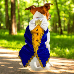 Disfraces para Mascotas – Estilo y Diversión para tu Compañero
